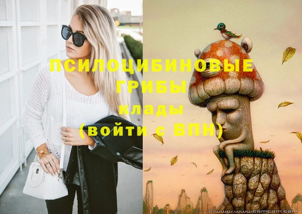 метадон Инсар