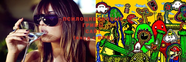 эйфоретик Иннополис