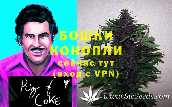 метадон Инсар
