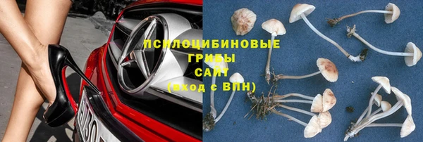 марки lsd Инта