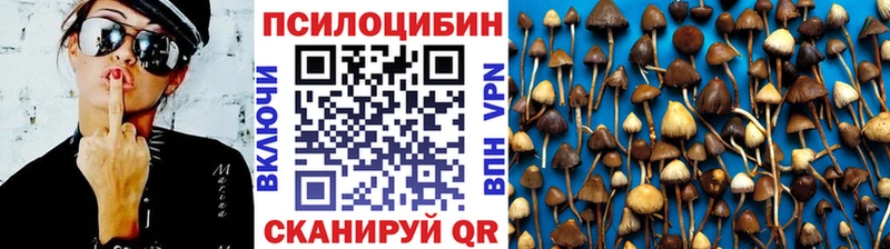 Купить где  Покров  Псилоцибиновые грибы Magic Shrooms 